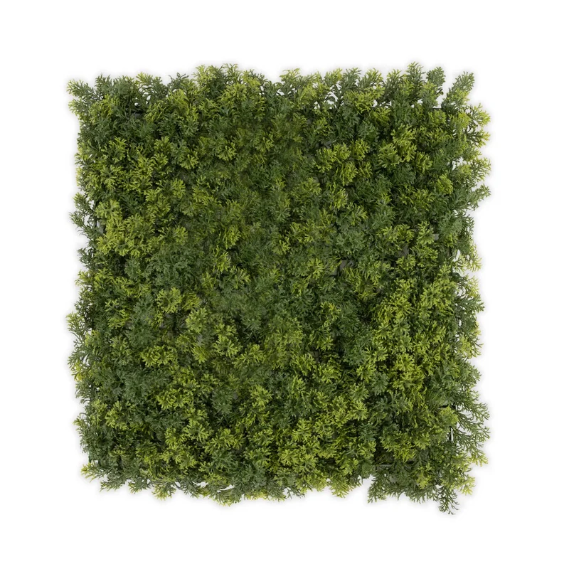 4nb3bbf4zn3